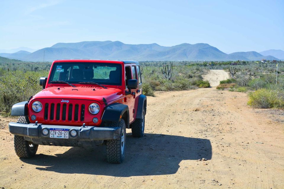 Off-Road Adventure: All-Day Jeep Expedition in Todos Santos - Key Points