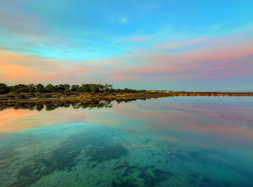 Olhão: 3-Hour Ria Formosa Boat Tour - Activity Details