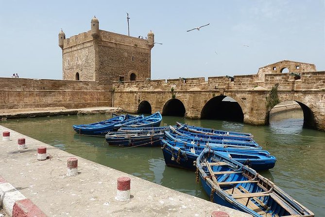 One Day Trip From Marrakech To Essaouira Mogador And Portuguese Fortress - Key Points
