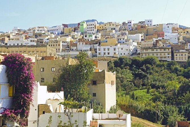 One-Way Private Transfer to Chefchaouen From Fez - Key Points