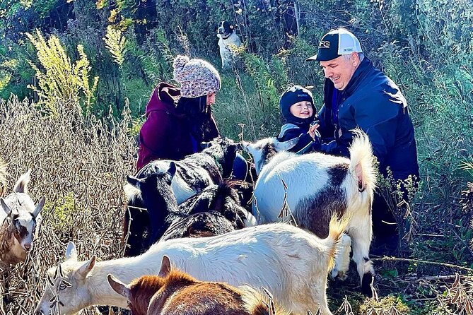 Ontario: Goat Meet-and-Greet Family-Friendly Farm Experience - Key Points