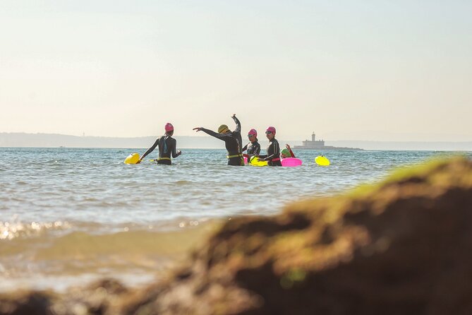 Open-Water Swimming in Cascais - Location and Scenery