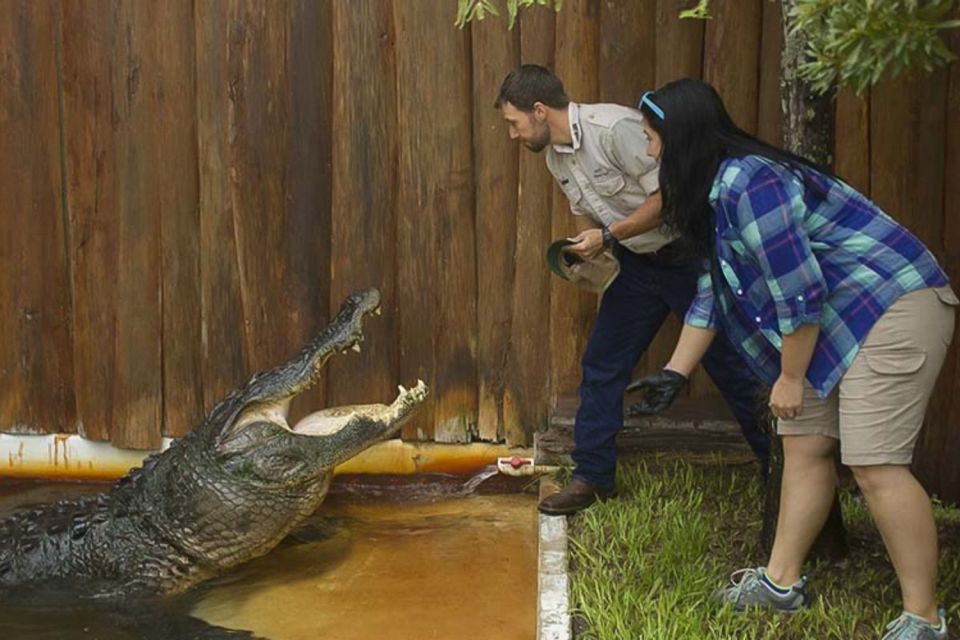 Orlando: Gatorland Interactive Tour With Animal Trainer - Key Points