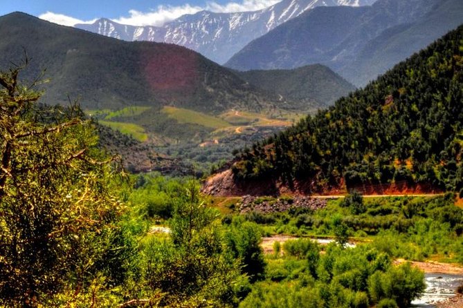 Ourika Valley Day Trip From Marrakech - Reviews and Ratings
