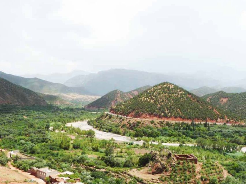 Ourika Valley: Highlights Tour to Berber Village, Culture. - Key Points