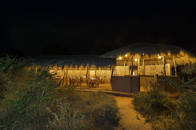 Overnight Private Leopard Safari With Luxury Tented Camping - Key Points