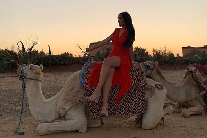 Pack Camel Ride 1 Hour and Quad Biking 2 Hours in Marrakech - Key Points