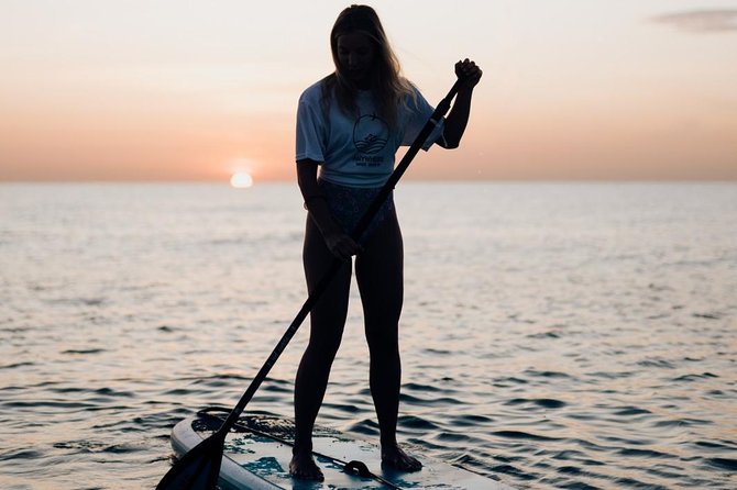 Paddle Surf Guided Session