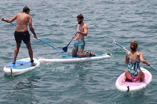 Paddle Surf - Key Points