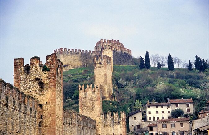 Pagus Wine Tours - Soave and Amarone - Half Day Wine Tour - Key Points