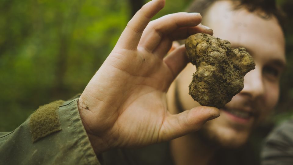 Paladini: Truffle Hunting Tour With 3-Course Tasting Menu - Tour Details and Duration