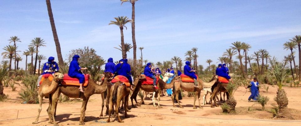 Palmeraie Quad Bike & Camel Ride - Key Points