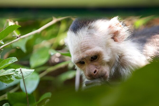 Palo Verde National Park Boat Tour - Key Points