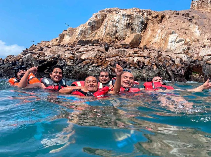 Palomino Islands Speedboat Excursion & Swim With Sea Lions - Key Points