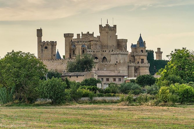 Pamplona and Olite Royal Palace in Small Group Tour, Lunch Included