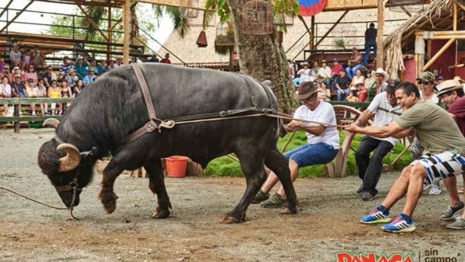 Panaca Park Tour From Pereira or Armenia - Key Points