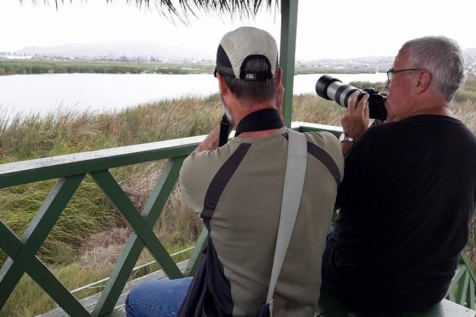 Pantanos De Villa Wildlife Refuge Tour in Lima - Key Points