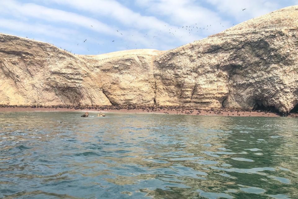 Paracas: Ballestas Islands Morning Boat Tour - Key Points