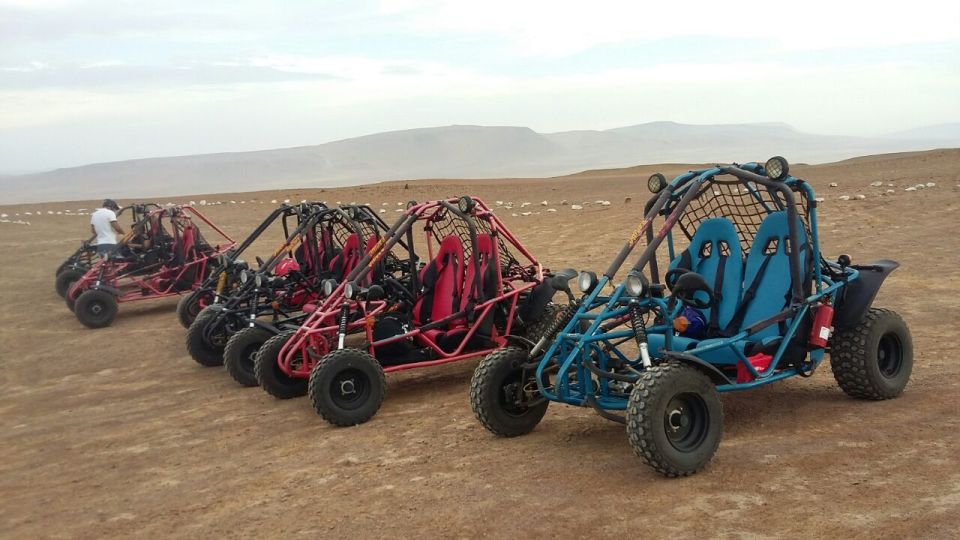 Paracas: Mini Buggy Ride in Paracas National Reserve - Key Points