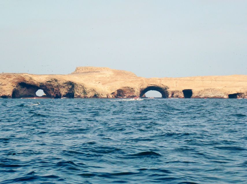 Paracas: Short Excursion to Ballestas Island Sea Lions - Key Points