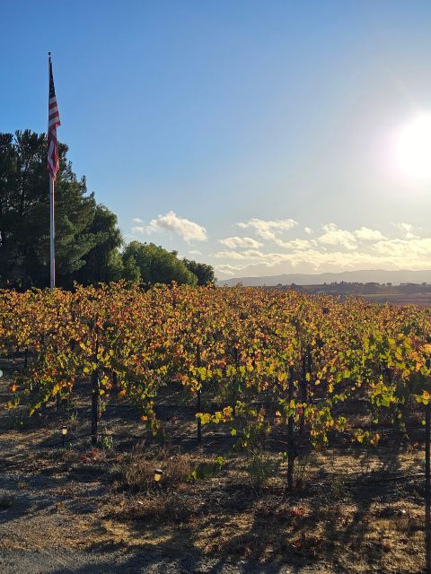 Paso Robles Full-Day Winery Tour With Picnic - Key Points