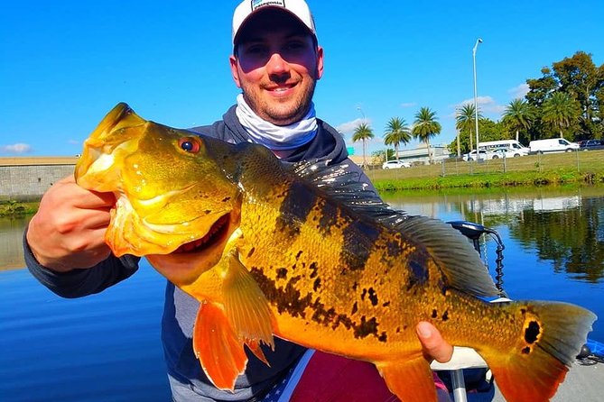 Peacock Bass Fishing Trips Near Miami Florida - Key Points