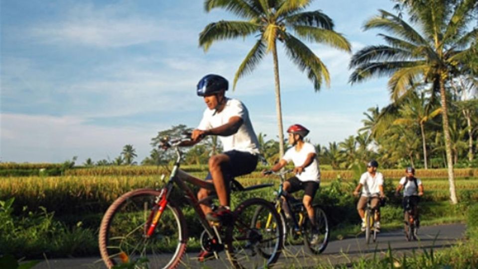 Pedal Bike Through Rice Terraces, Forests and Lawang Caves - Key Points