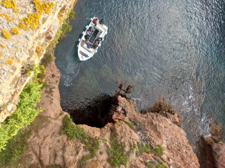 Peniche: Berlengas Island Round-Trip Ferry - Key Points