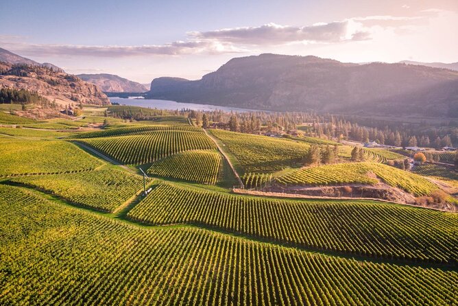 Penticton Wineries Tour - Key Points