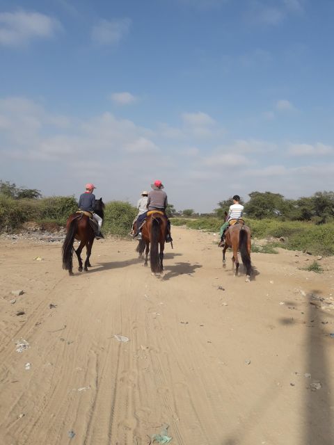 Peru,: 4 Hours Horseback Riding and Ancient Pyramids - Key Points