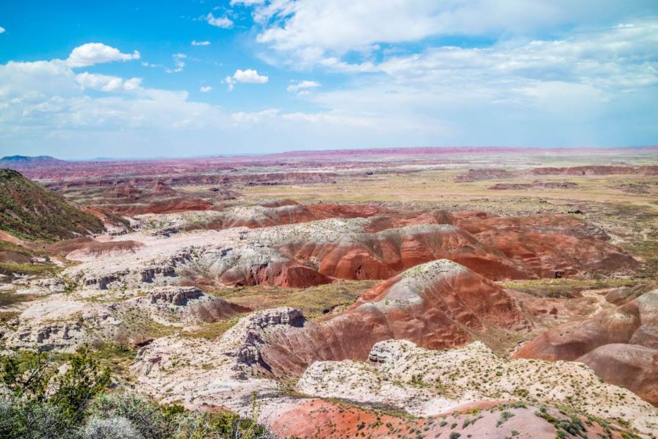 Petrified Forest National Park Self-Guided Audio Tour - Key Points