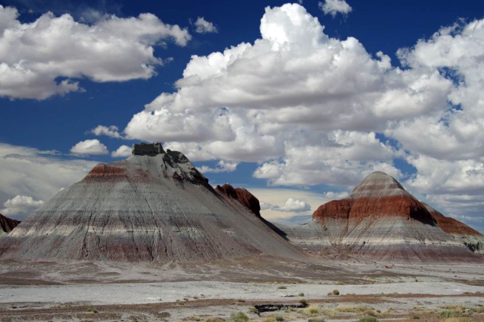 Petrified Forest National Park Self-Guided Audio Tour - Key Points