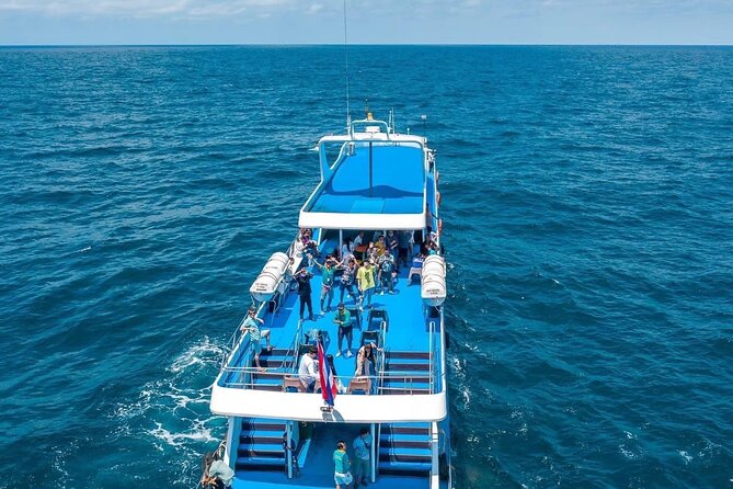 Phi Phi Island To Phuket By Phi Phi Cruiser - Service Details