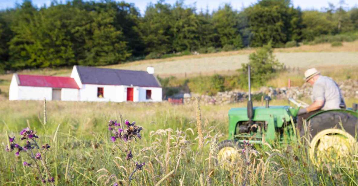 Photography Tour of Carlingford & Surrounding Area - Key Points