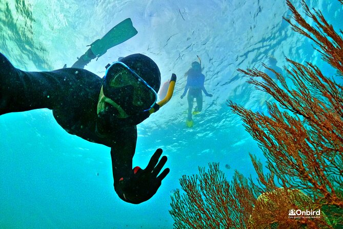 Phu Quoc Private Coral Jungle Reef Snorkel Tour - Key Points