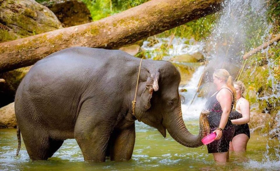 Phuket: Bamboo Rafting, ATV (Optional), Elephant Bathing. - Key Points