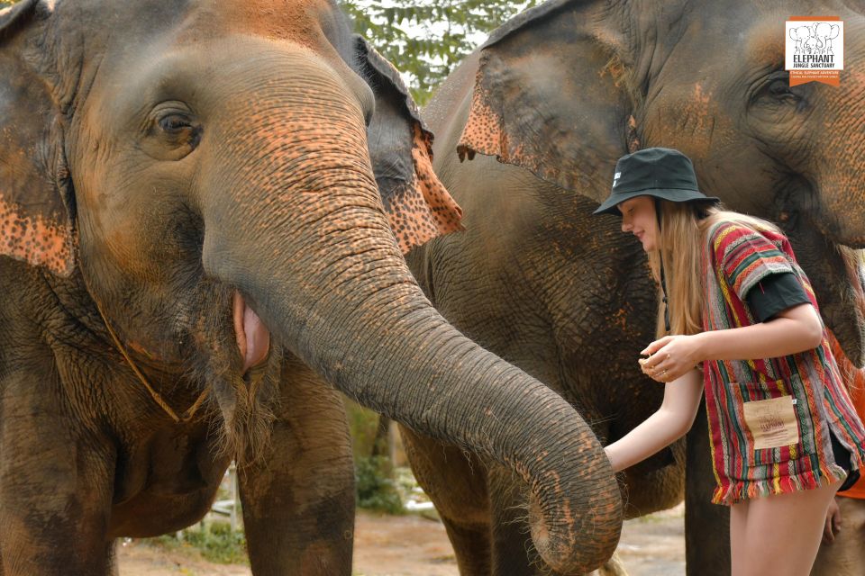 Phuket: Elephant Jungle Sanctuary Ethical Feeding Experience - Key Points