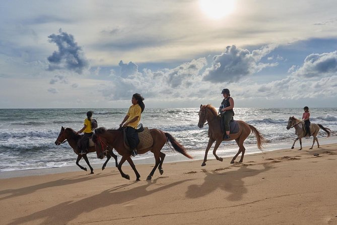 Phuket: Small-Group Horseback Riding Tour, Jungle or Beach - Key Points