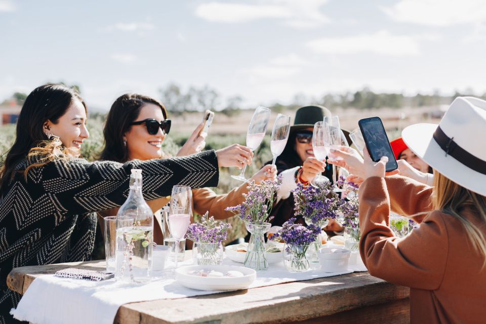 Picnic Among Lavender - Key Points