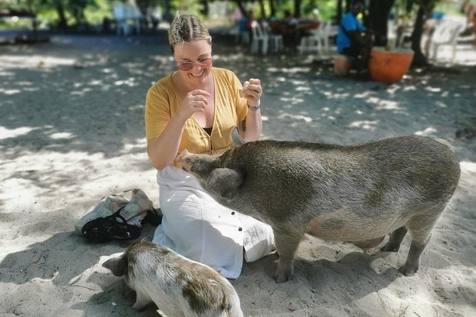 Pig Island Day Trip From Koh Samui by Speedboat - Key Points