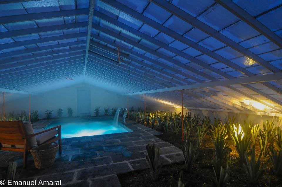Pineapple Greenhouse Hot Tube and Pineapple Tour - Key Points