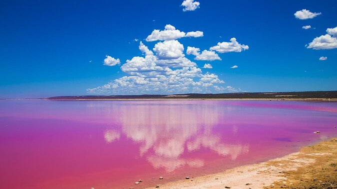 Pink Lake and Abrolhos Flyover Tour - Key Points