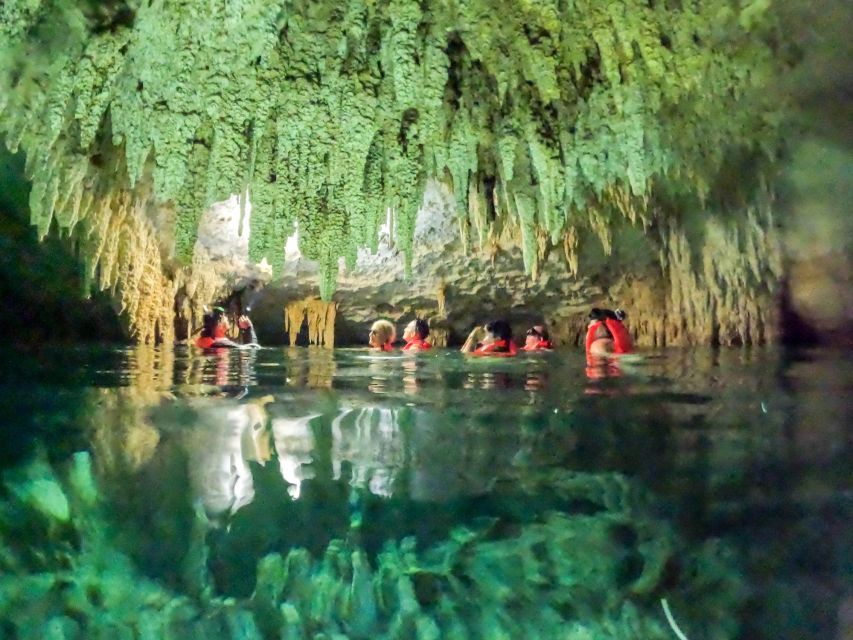 Playa Del Carmen: Cenote and Swim With Turtles Half Day Tour - Key Points