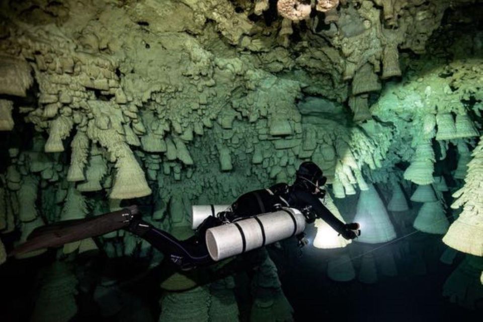 Playa Del Carmen: Discover the Depths of Dos Ojos Cenote - Booking Details