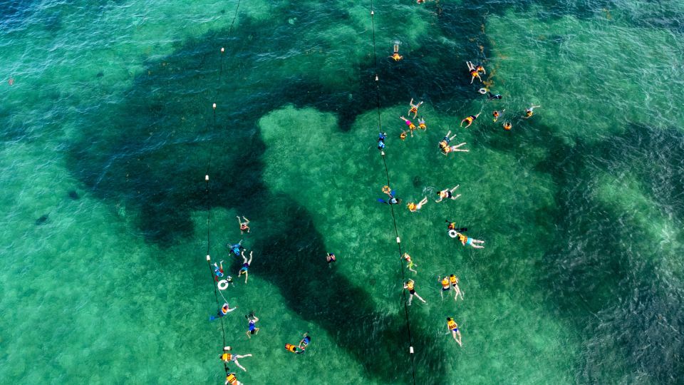 Playa Del Carmen: Tulum Ruins, Cenote & Swim With Turtles - Key Points