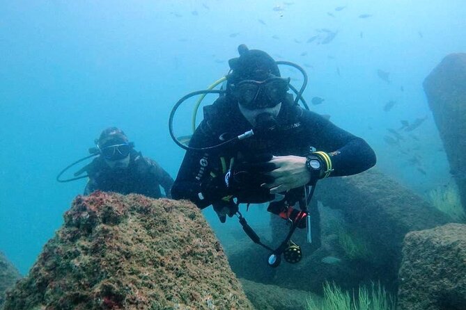 Pleasure Scuba Diving in Fujairah for Certified Diver - Key Points