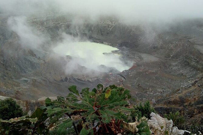 Poas Volcano Coffee Tour Waterfall Tour Day From San Jose - Key Points