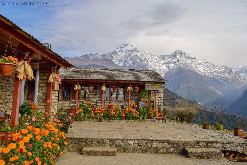 Pokhara: 4 Days Private Trekking to Poon Hill - Key Points