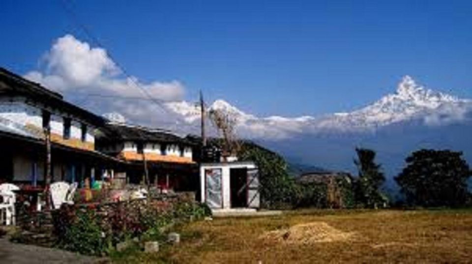 Pokhara: Guided Day Hike From Dampus To Australian Base Camp - Key Points