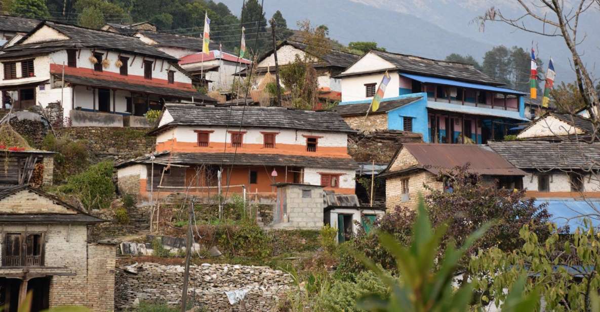 Pokhara: One Night Homestay Tour in Typical Lwang Village - Key Points